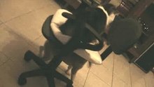 Cato-junior