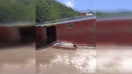 Selde mahsur kalan hayvanları helikopter yardımıyla kurtarıldı