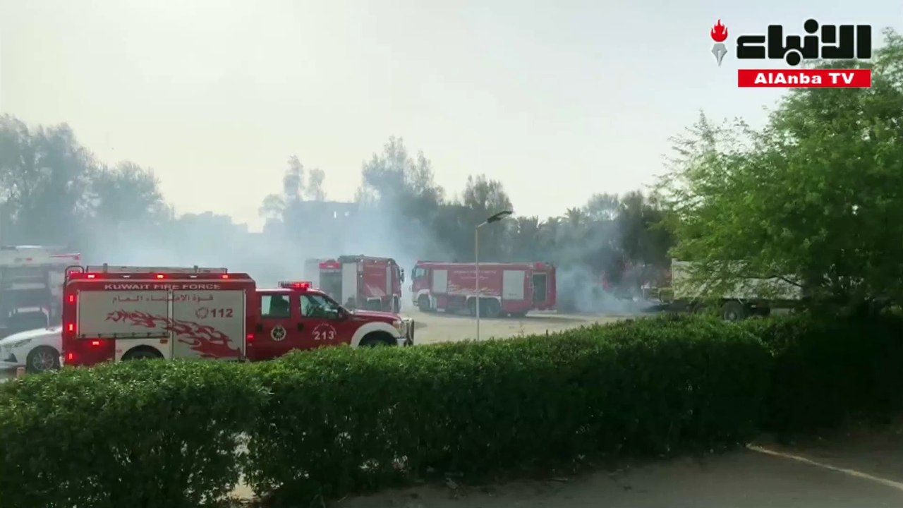 "قوة الإطفاء": السيطرة على حريق الأشجار