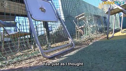 Q10 - English Subtitles - E6