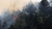 Batı Kudüs yakınındaki ormanlık alanda çıkan yangın kontrol altına alınmaya çalışılıyor