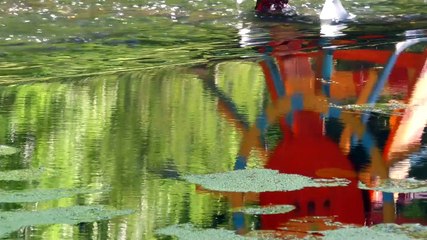 2021 Le Moulin du Moulin * Trigone Production