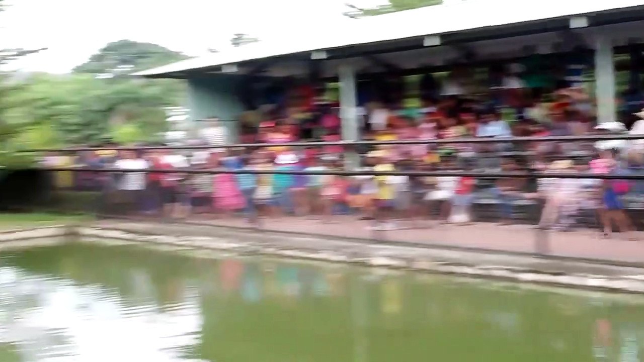 Ini baru pawang buaya