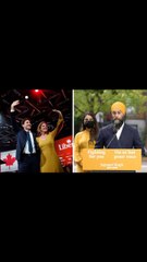 A Federal Election Is Happening In Just 36 Days & Here’s What You Need To Know