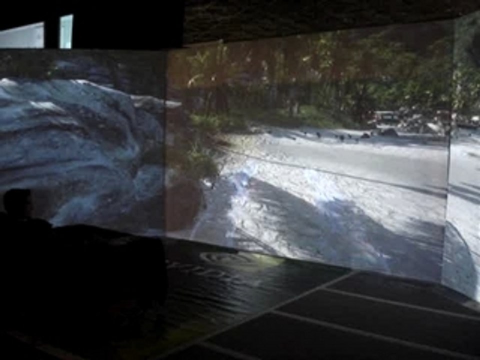 Crysis - Back Right View