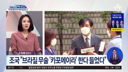조국, 발언권 요청…‘브라질 무술’ 물으며 직접 증인신문
