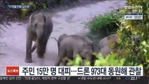 1,300㎞ 대이동…中코끼리떼 17개월만에 귀향