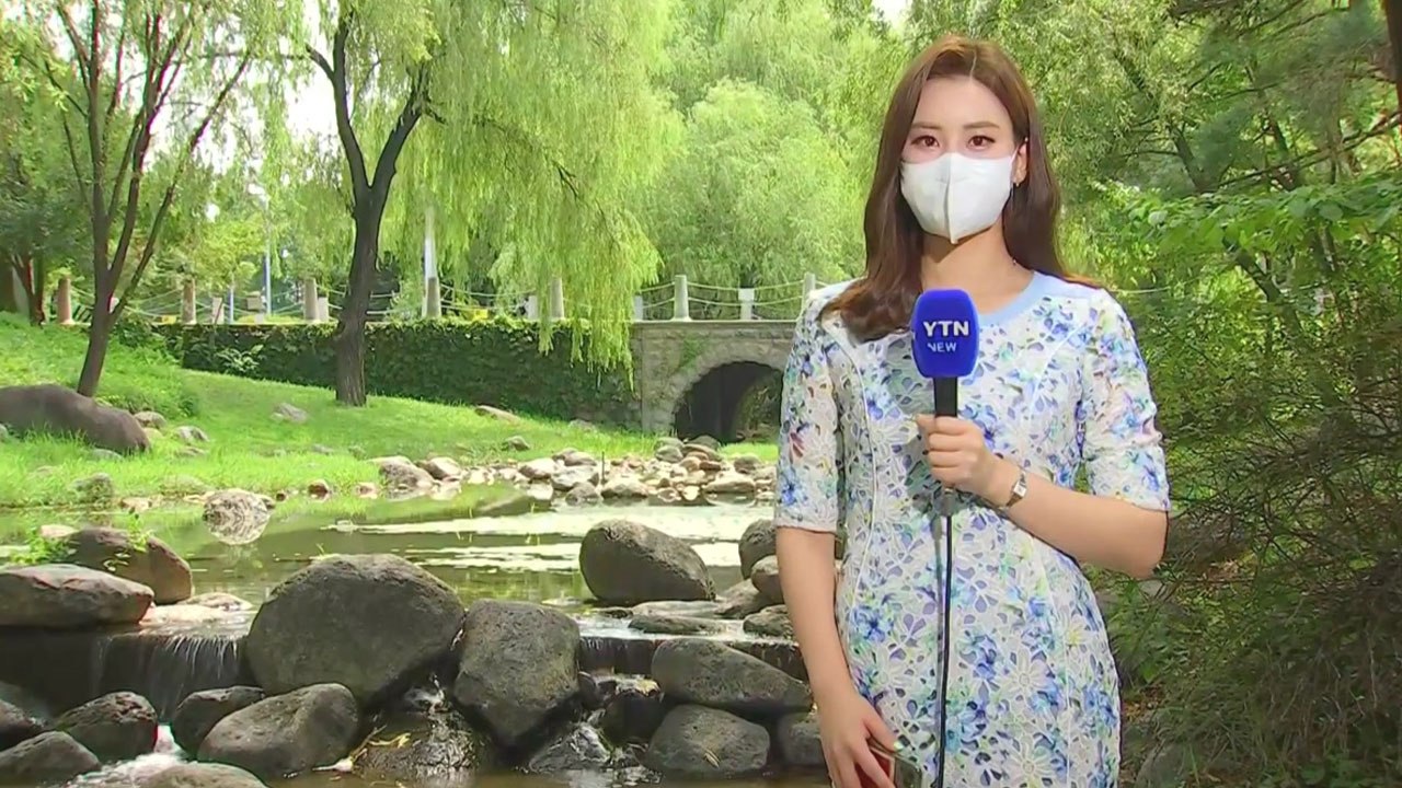 [날씨] 대체공휴일, 서쪽 30℃ 더위...경기·영서 소나기, 제주 비 / YTN