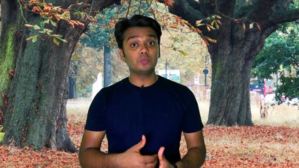 Some truly weird British laws and funny myths!!!