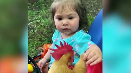 Baby Cuteness Videos You Cann't Watch Without AWW - Funniest Home Videos BabiezTV