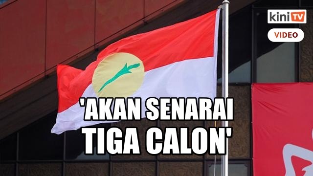 Sumber: MT Umno akan senarai tiga calon PM untuk istana