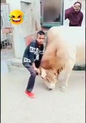 جزار سنه صغير بس عيل فاجر و قلبه ميت