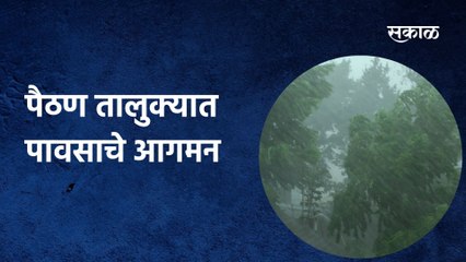 Aurangabad; अनेक दिवसांच्या प्रतिक्षेनंतर पैठण तालुक्यात पावसाचे आगमन