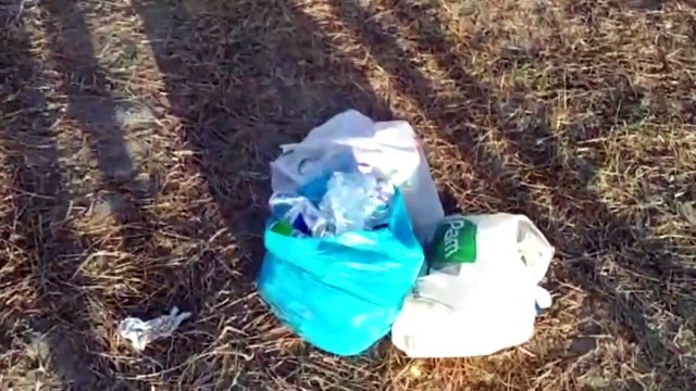 Rave party illegale, il sindaco di Valentano: Fatto gravissimo, un attacco al territorio