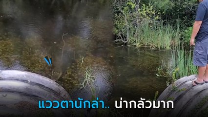 วงแตก ! สาวอัดคลิปตกปลาในบึงน้ำใสดี ๆ หันมาอีกที จระเข้โผล่จ้องงาบ