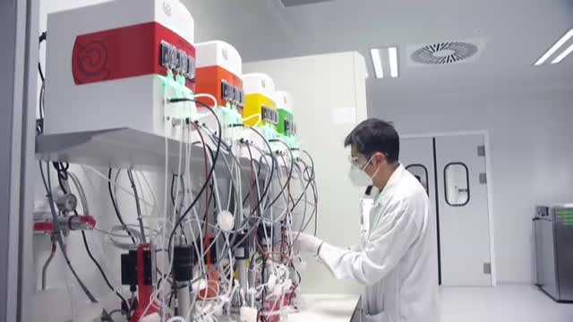 Comienza la cuenta atrás para la vacuna española contra coronavirus