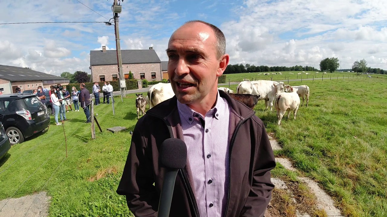 La « Bleue Mixte »… une race locale menacée