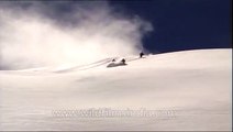 Skiing on Himalayan snow powder