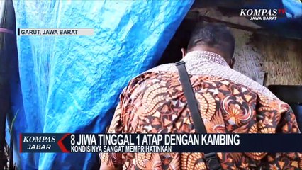 Sedih, 8 Orang Tinggal Seatap dengan Kambing, di Garut