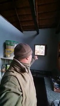 Un homme réveillé par un lion posté devant chez lui