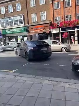 Il oublie de fermer la portière de sa Tesla... douloureux