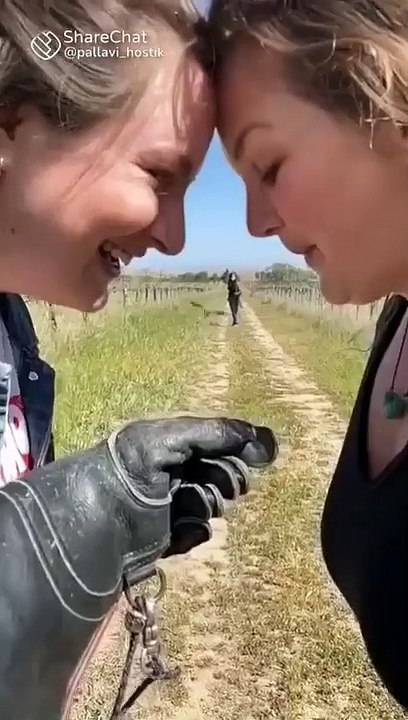 Wow