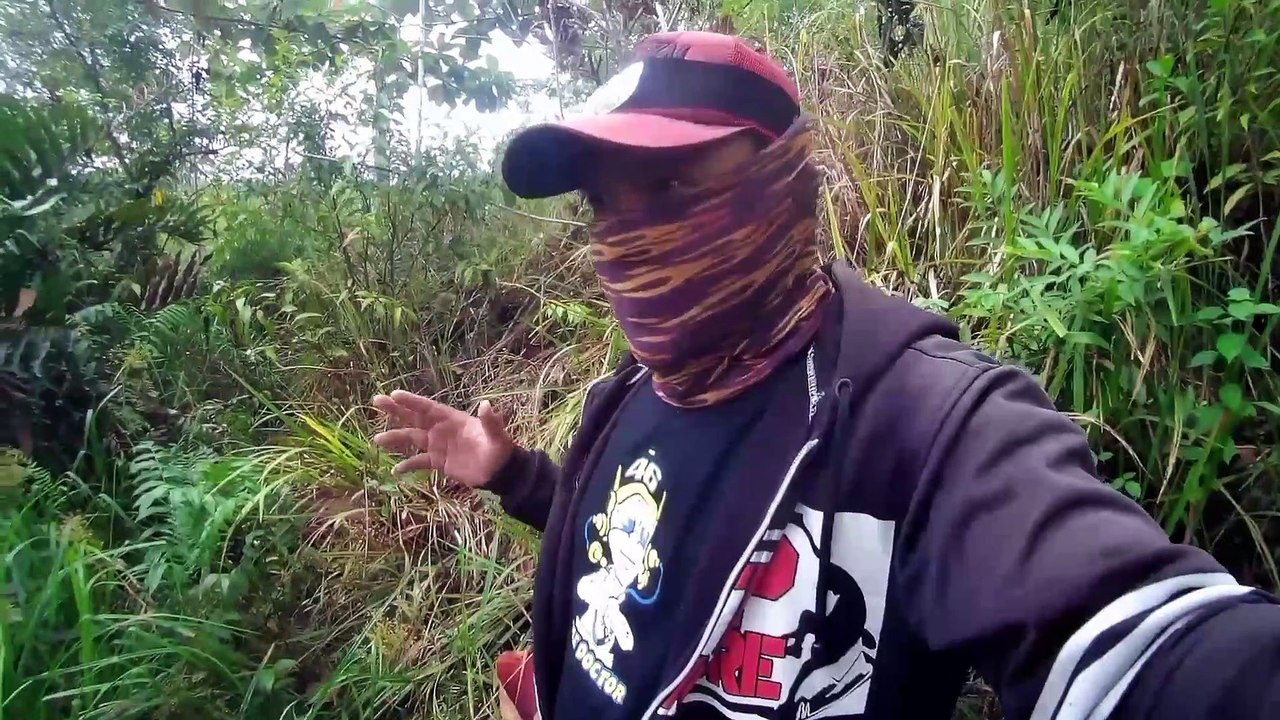 Mancing ikan gabus di hutan