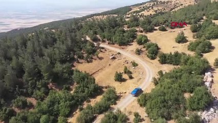 NURDAĞI'NDA ORMANLAR 203 KİŞİLİK EKİPLE KORUNUYOR