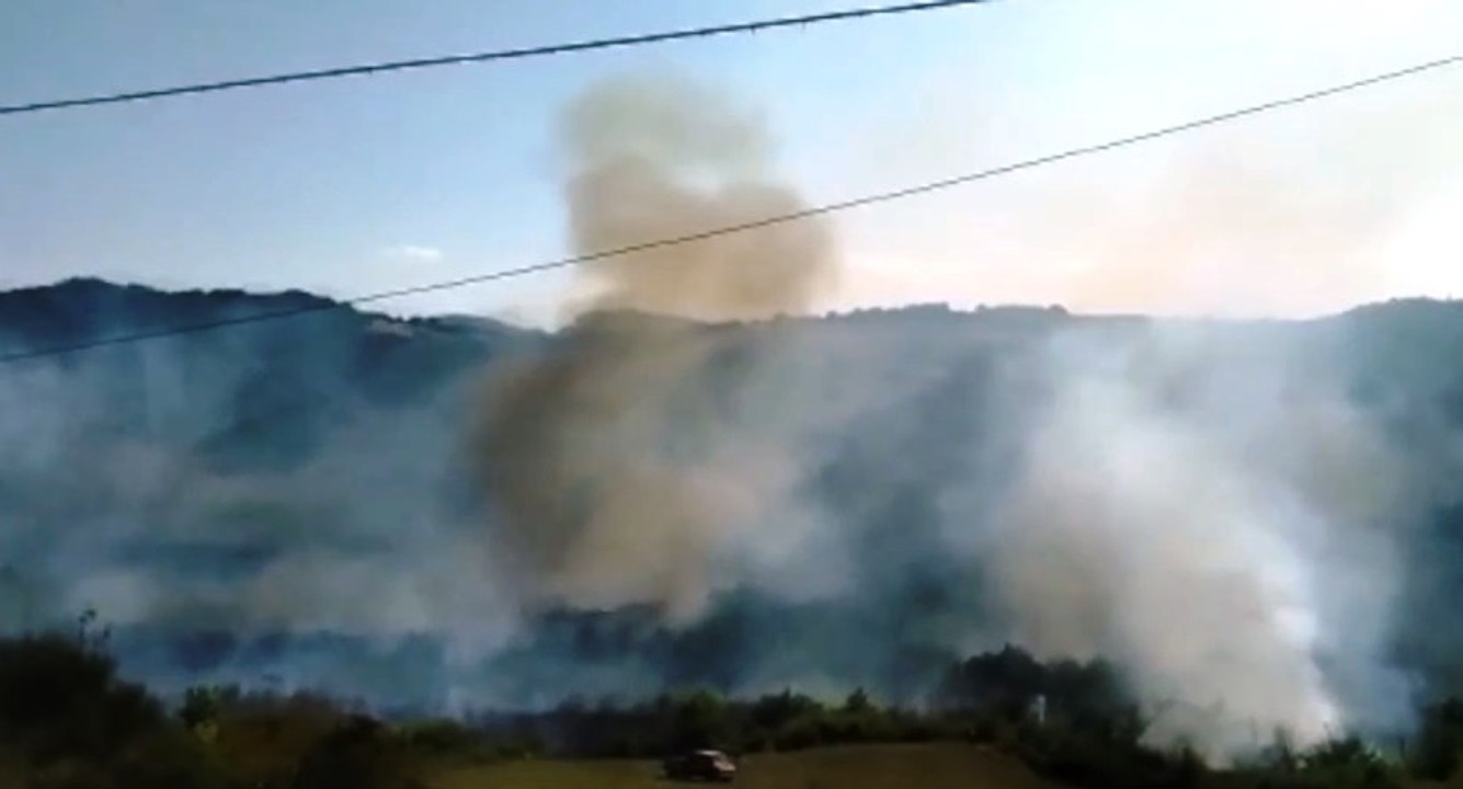 Sogliano al Rubicone (FC) - Vasto incendio di vegetazione (16.08.21)