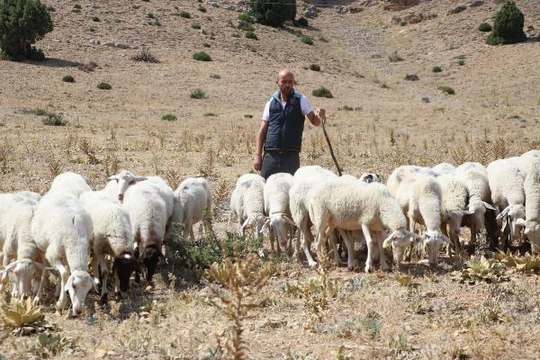 BEYİN KANAMASI GEÇİRİNCE 'YAŞAYAMAZ' DEDİLER, İŞKUR DESTEĞİYLE HAYATA TUTUNDU