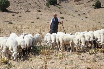 BEYİN KANAMASI GEÇİRİNCE 'YAŞAYAMAZ' DEDİLER, İŞKUR DESTEĞİYLE HAYATA TUTUNDU