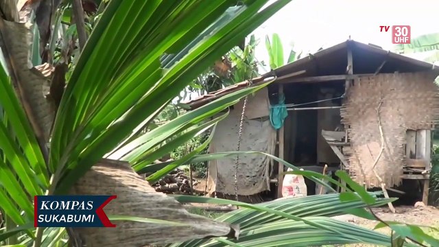 Miris, Kokom Tinggal Satu Atap Dengan Kandang Domba