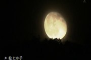新日本風土記「月の夜」