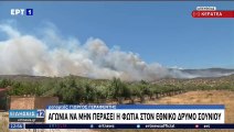 Neues Feuer nahe Athen, westlich von Jerusalem brennt der Wald