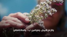 زيت باراشوت للشعر أنواعه وفوائده وطرق استخدامه