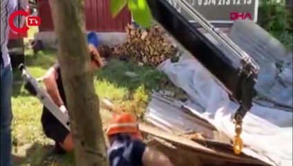 Çukura düşen ineği itfaiye kurtardı