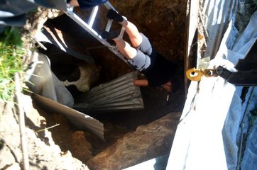 Bolu'da, 3 metrelik çukura düşen ineği itfaiye kurtardı