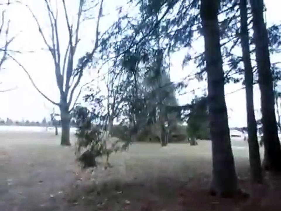 #bigfoot Bigfoot sighting in Sault Ste. Marie _ _The Soo-Squatch_