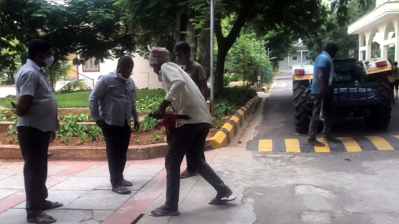 Trapped Puppies Reunited with Mom