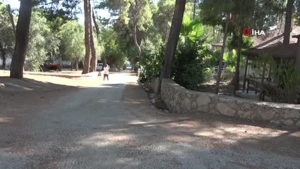 Köpekleri ayırmak isterken düşen öğretmen hayatını kaybetti