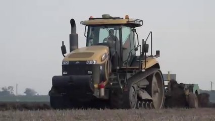 GIRL ON TRACTOR  Giulia and Fendt Favorit 920  Sorghum Silage