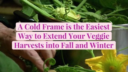 A Cold Frame is the Easiest Way to Extend Your Veggie Harvests into Fall and Winter