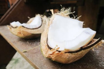 These Are Some Amazing Benefits of Coconuts