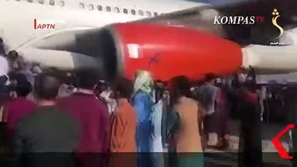 Kacau!!! Ribuan Warga Afghanistan Paksa Naik Pesawat Hingga Bergelantungan Untuk Melarikan Diri