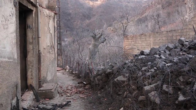 استمرار التحقيقات لكشف جميع المتورطين في حرائق الجزائر