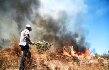 Atina yakınlarındaki orman yangınları nedeniyle 4 yerleşim birimi boşaltıldı