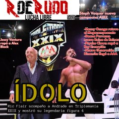 TRIPLEMANÍA 29, REVISIÓN LUCHA A LUCHA