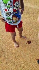 Family Appreciates the Amazing Burrowing Bees