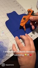 Animals Get Dressed for Wedding