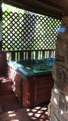 Three Black Bear Cubs Play in Hot Tub